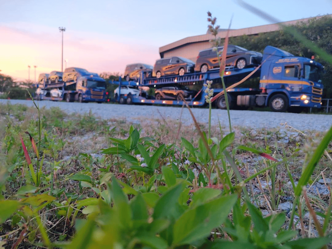 MYMOVER Fleet - Car Carrier 3